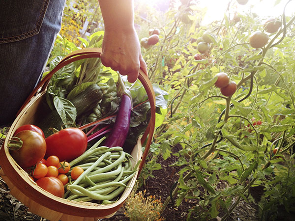 Educational experiences with experts - fruits of nature